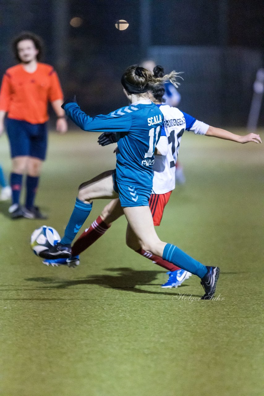 Bild 494 - F SC Alstertal-Langenhorn - Hamburger SV 3 : Ergebnis: 2:2